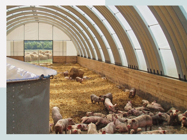 Строительство свинарников в Минусинске